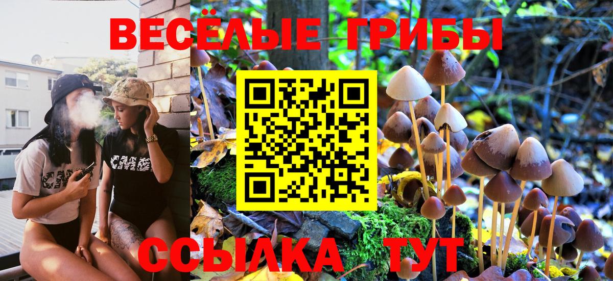 Псилоцибиновые грибы мицелий  Вход с VPN  Павлово 